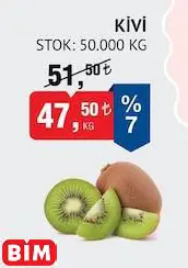 KİVİ KİVİ